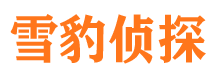 顺德市调查公司